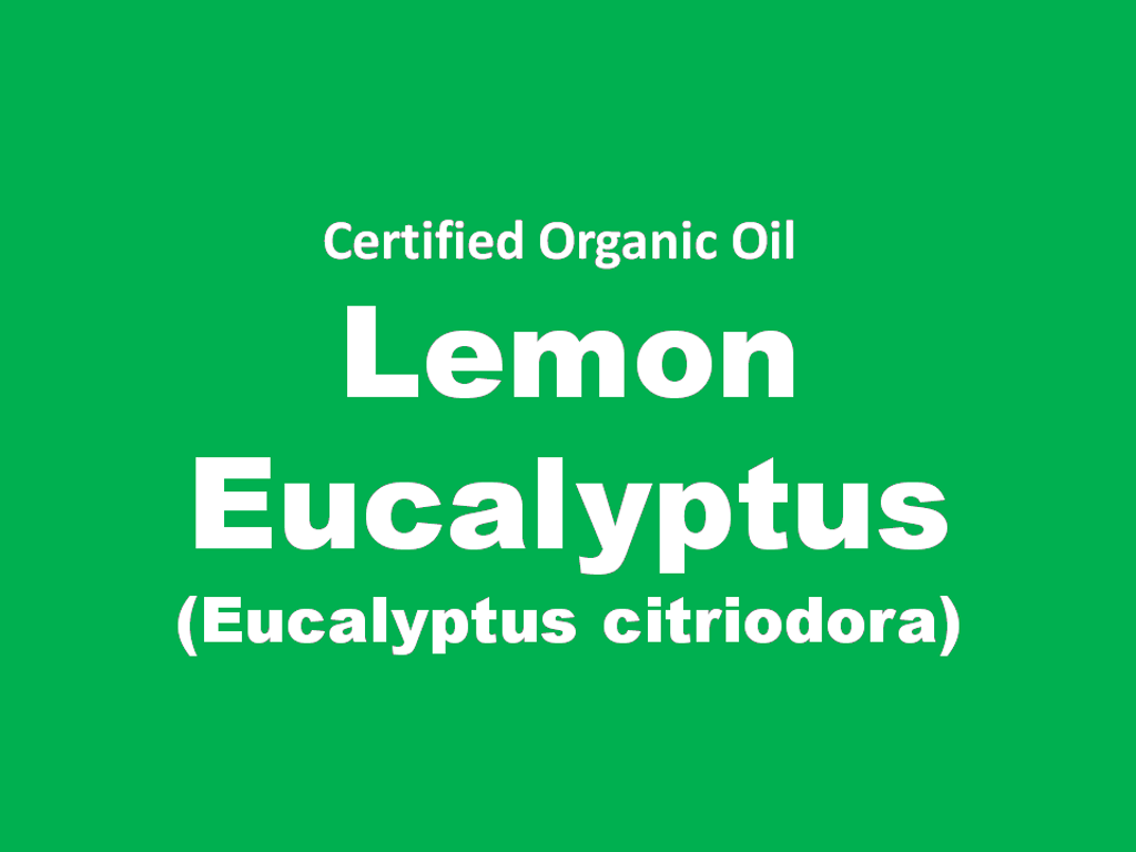 lemon eucalyptus.PNG