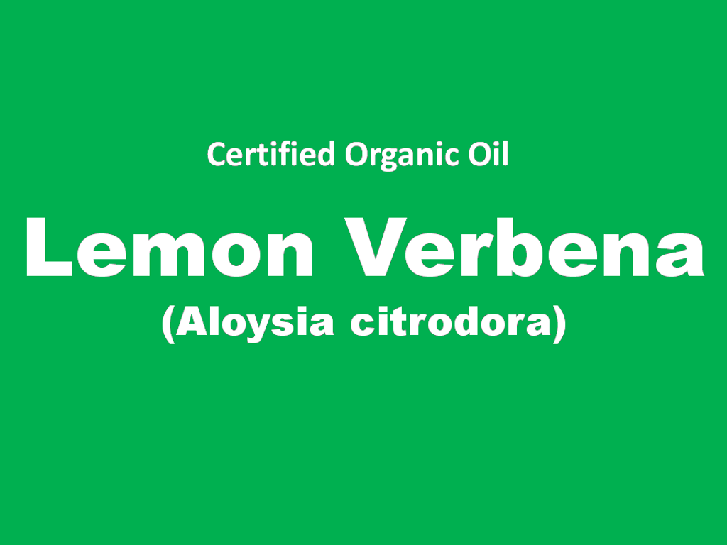 lemon verbena.PNG