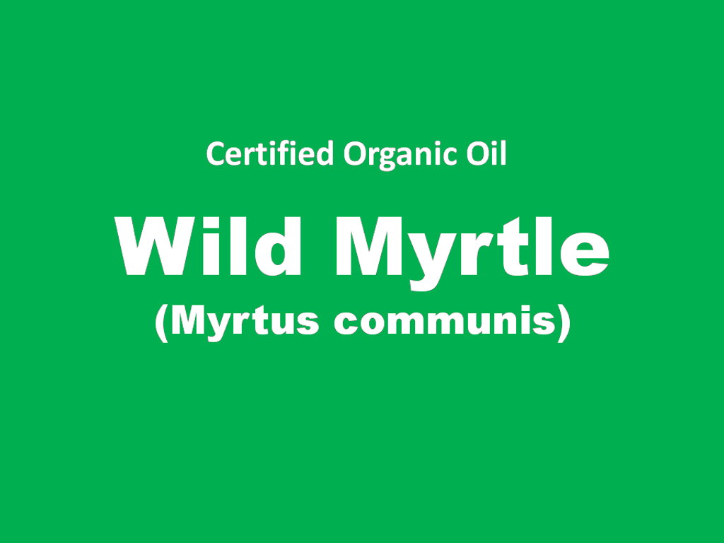 wild myrtle.PNG