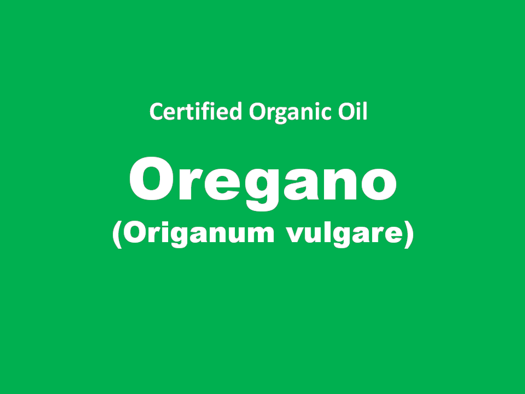 oregano.PNG