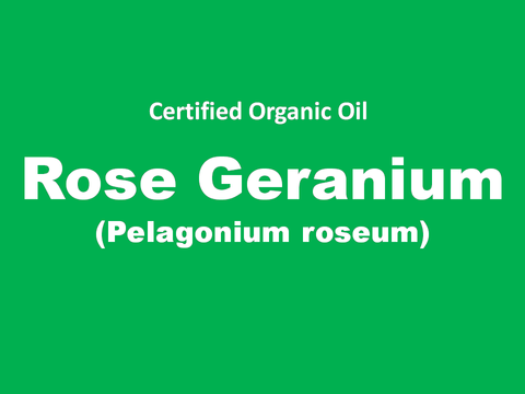 rose geranium.PNG