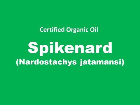 spikenard.PNG