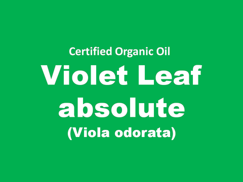 violet leaf absolute.PNG