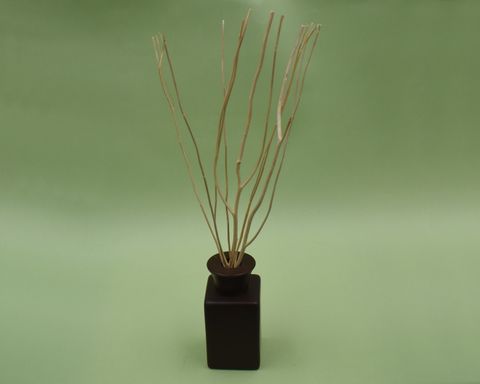 WhatsApp Image 2021-07-07 at 21.24.37.jpeg