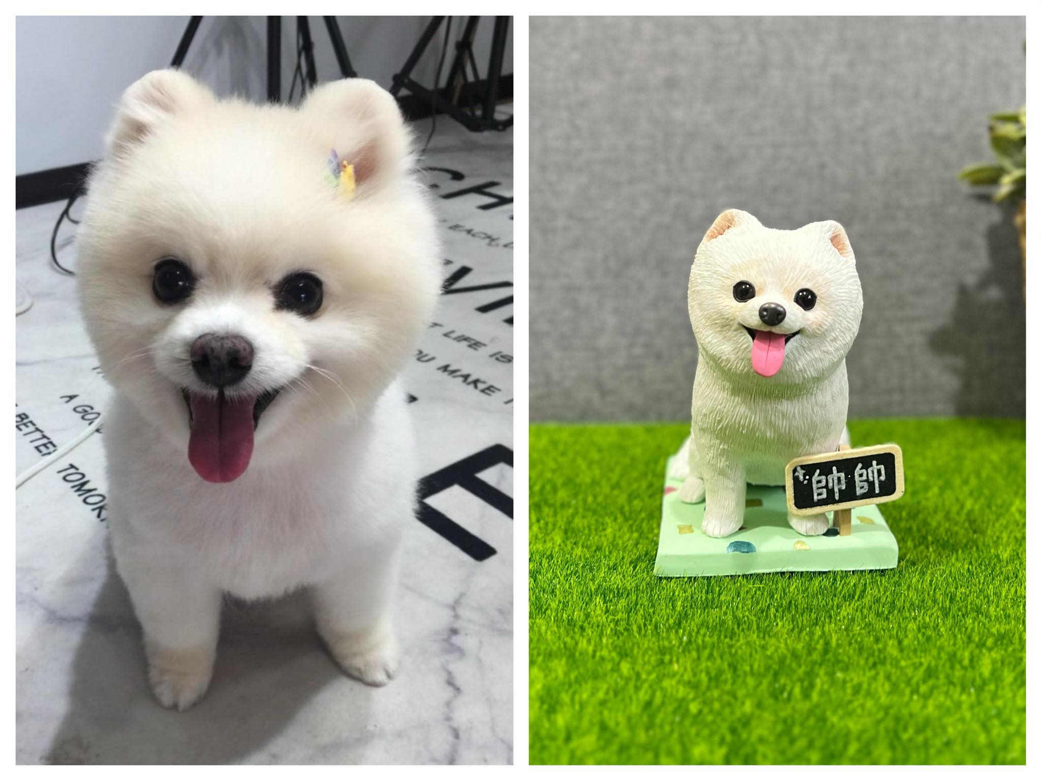 Business Suite_creation_2644242075916669