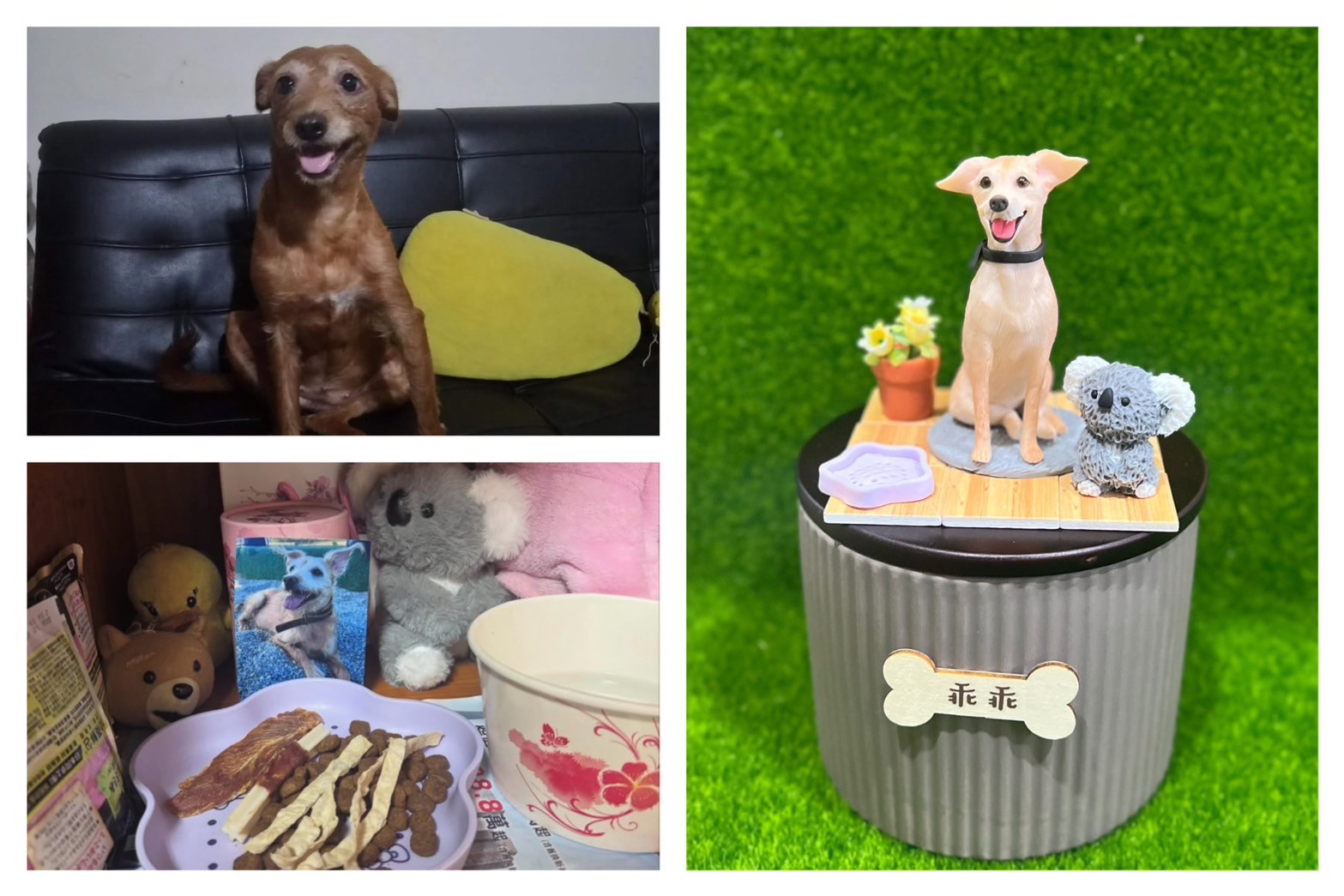 LINE_ALBUM_2025924 _1_250925_10