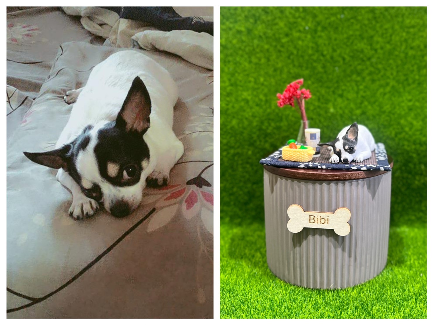 LINE_ALBUM_2025924 _1_250925_6