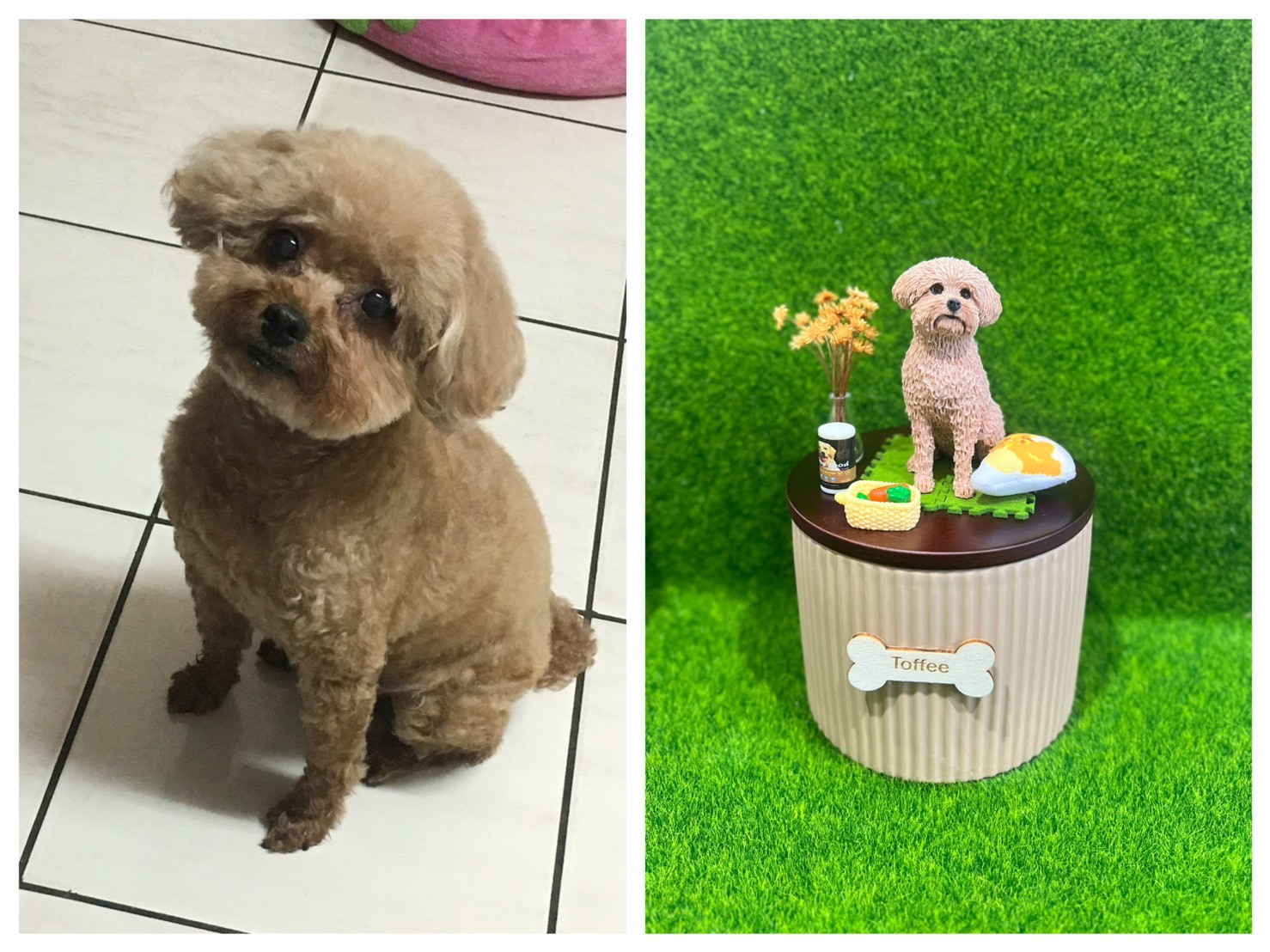 LINE_ALBUM_2025924 _1_250925_5