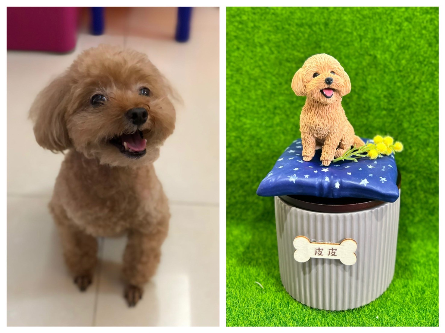 LINE_ALBUM_還沒存電腦_250514_1