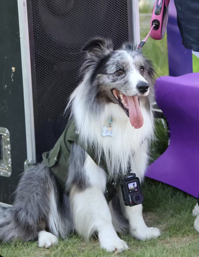 截圖 2026-03-16 上午10.47.01