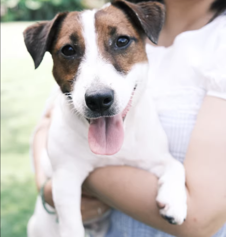 截圖 2026-03-16 上午10.52.39