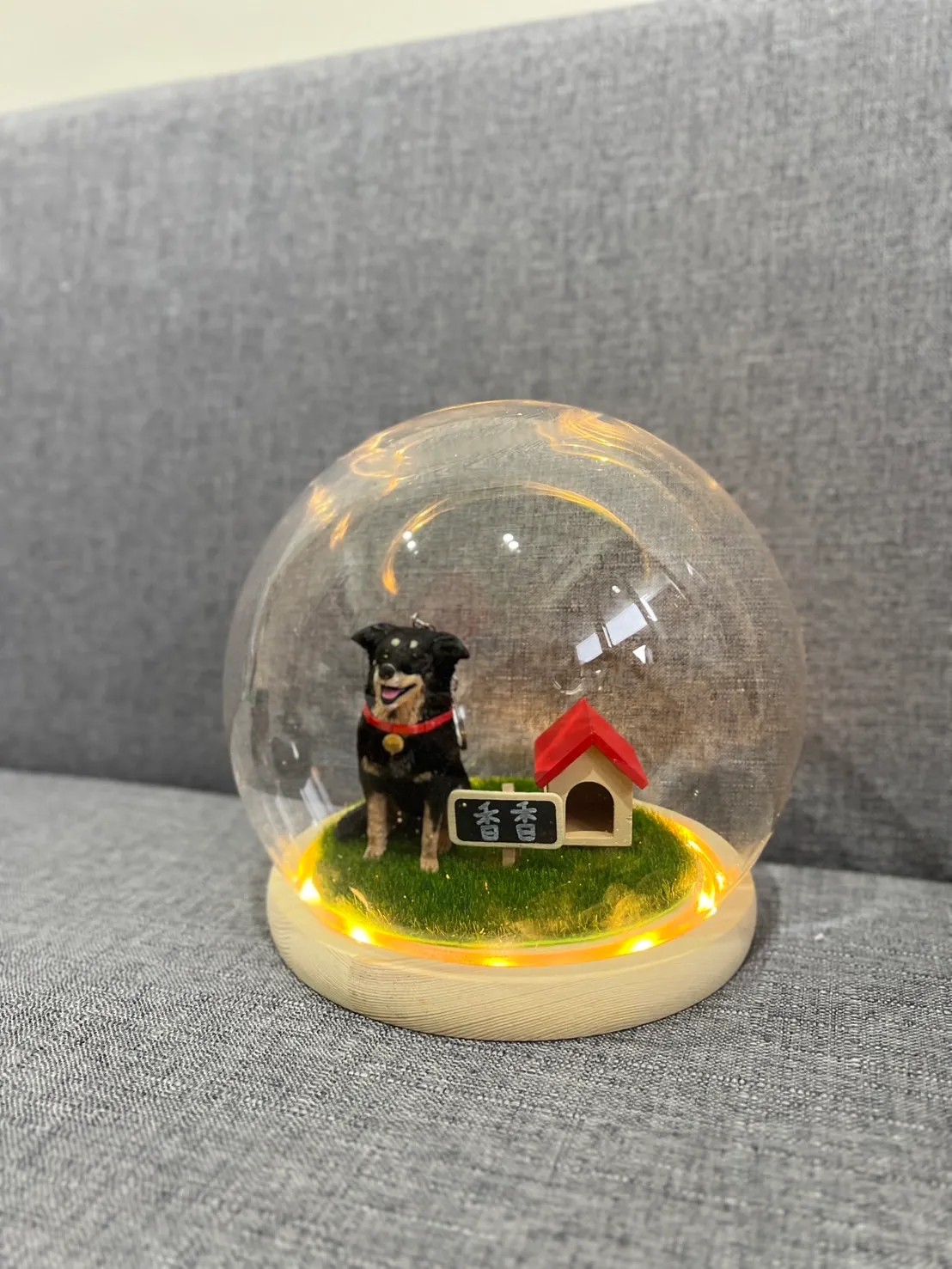 messageImage_1780024990206