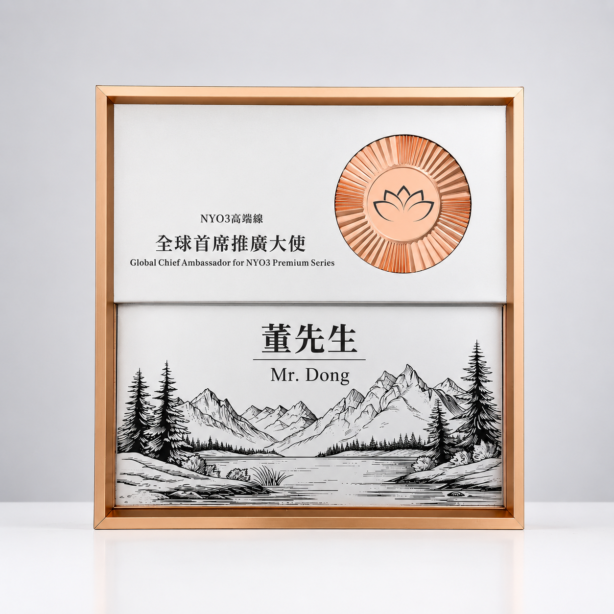 獎牌H