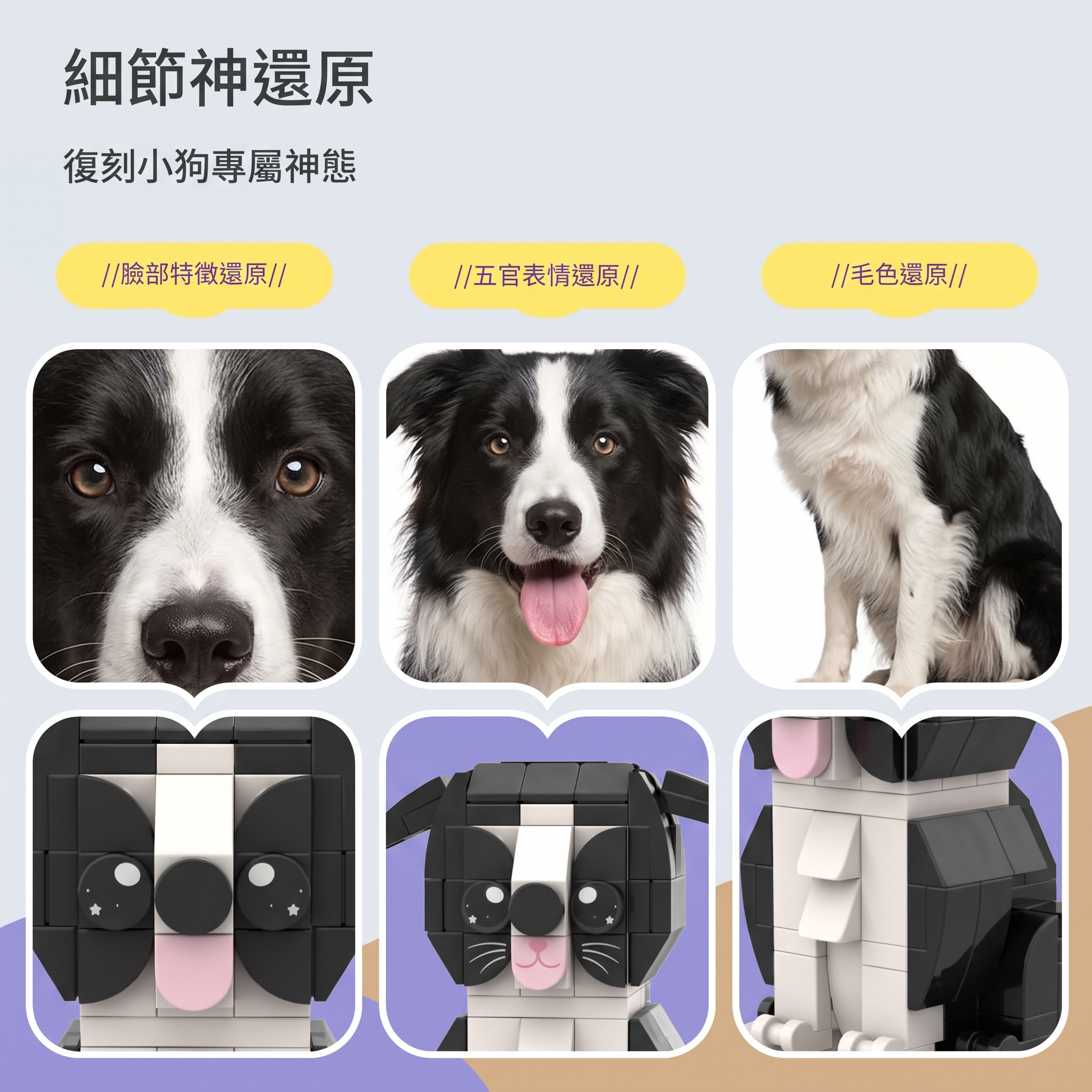 狗說明