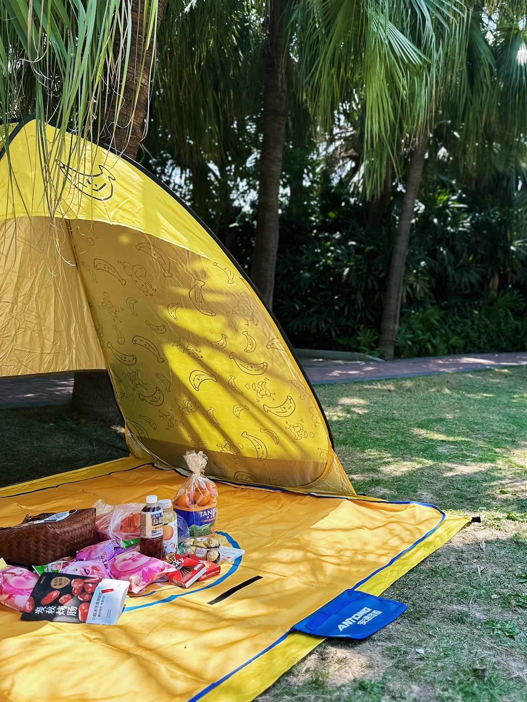 O1CN01nrGwzr1MulABQWUvh_!!4611686018427381879-0-rate