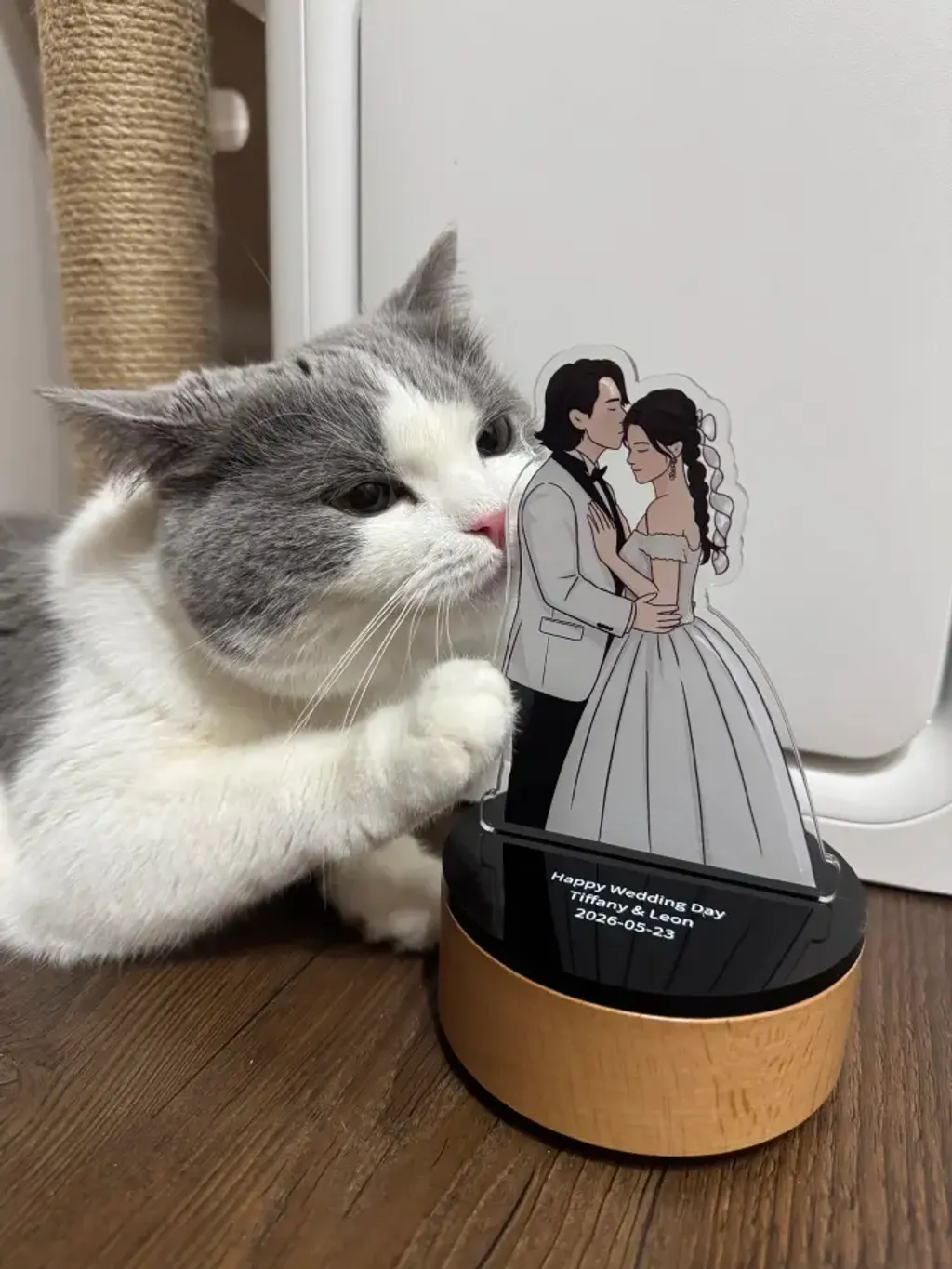 客製化 壓克力手繪音樂盒｜生日禮物 結婚紀念禮 畢業禮物 友誼紀念｜來圖訂製 文字印刷 可選音樂