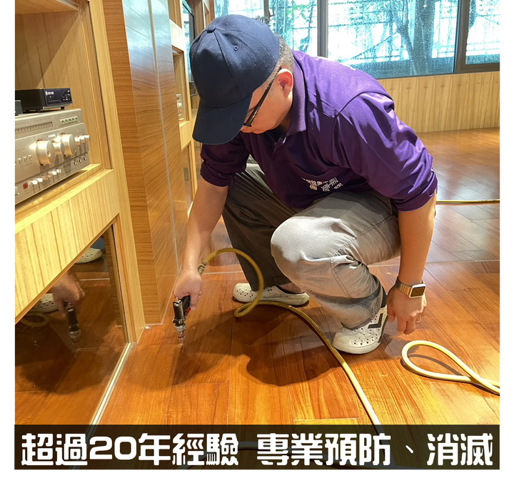 除白蟻 預防白蟻 白蟻防治 到府服務 白蟻檢測