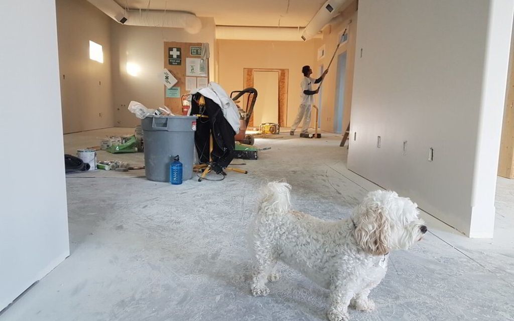 裝潢細清 到府服務 裝潢後清理 裝潢後清潔