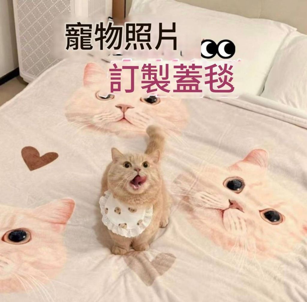 客製化寵物毛毯