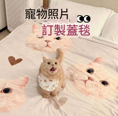 客製化寵物毛毯