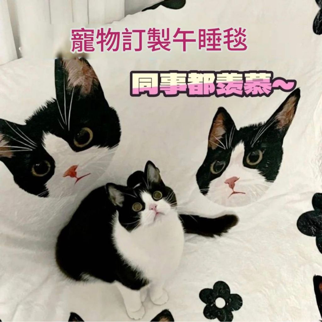 客製化寵物毛毯