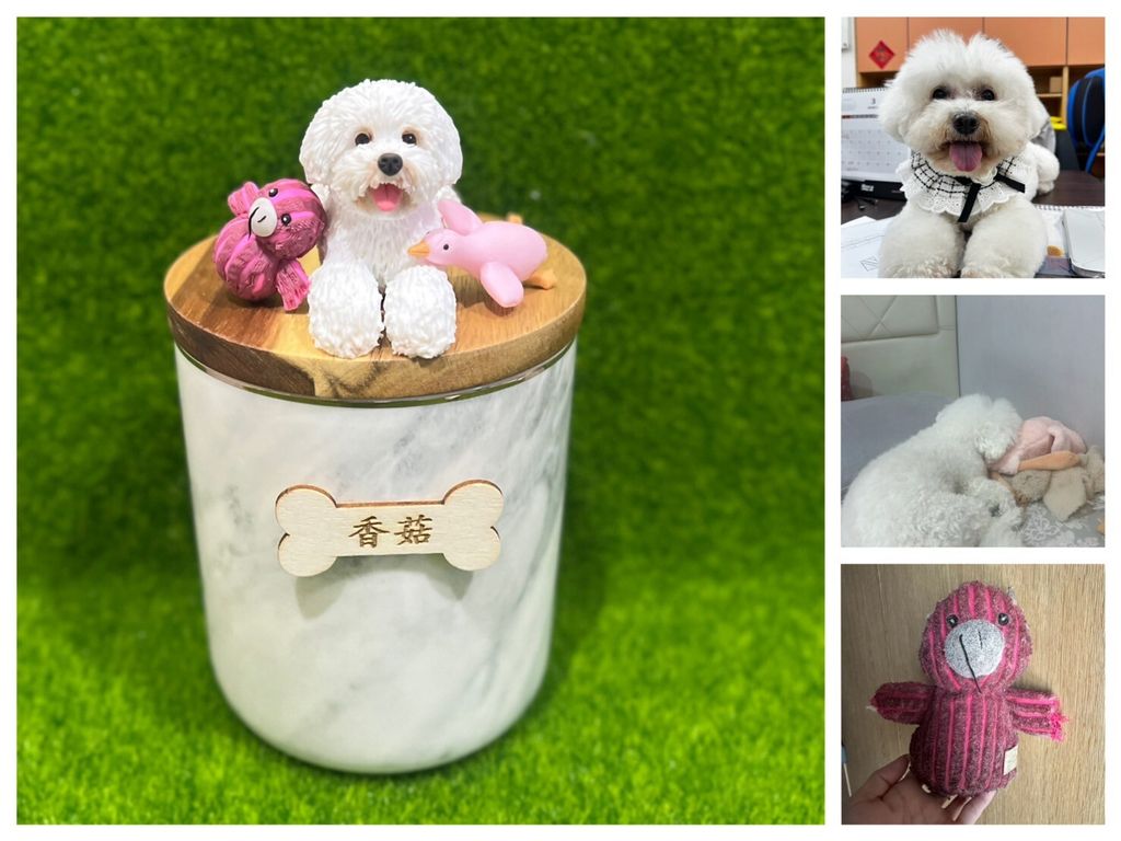 LINE_ALBUM_2025924 _1_250925_8