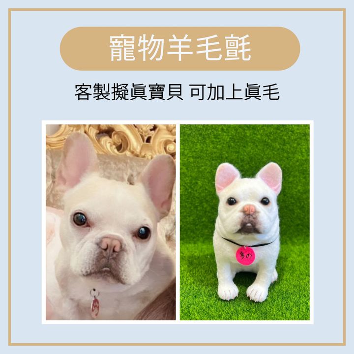 寵物羊毛氈 (2)