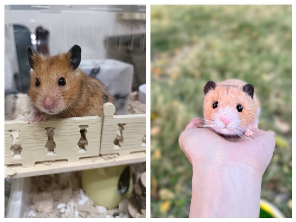 S__202162179 - 複製