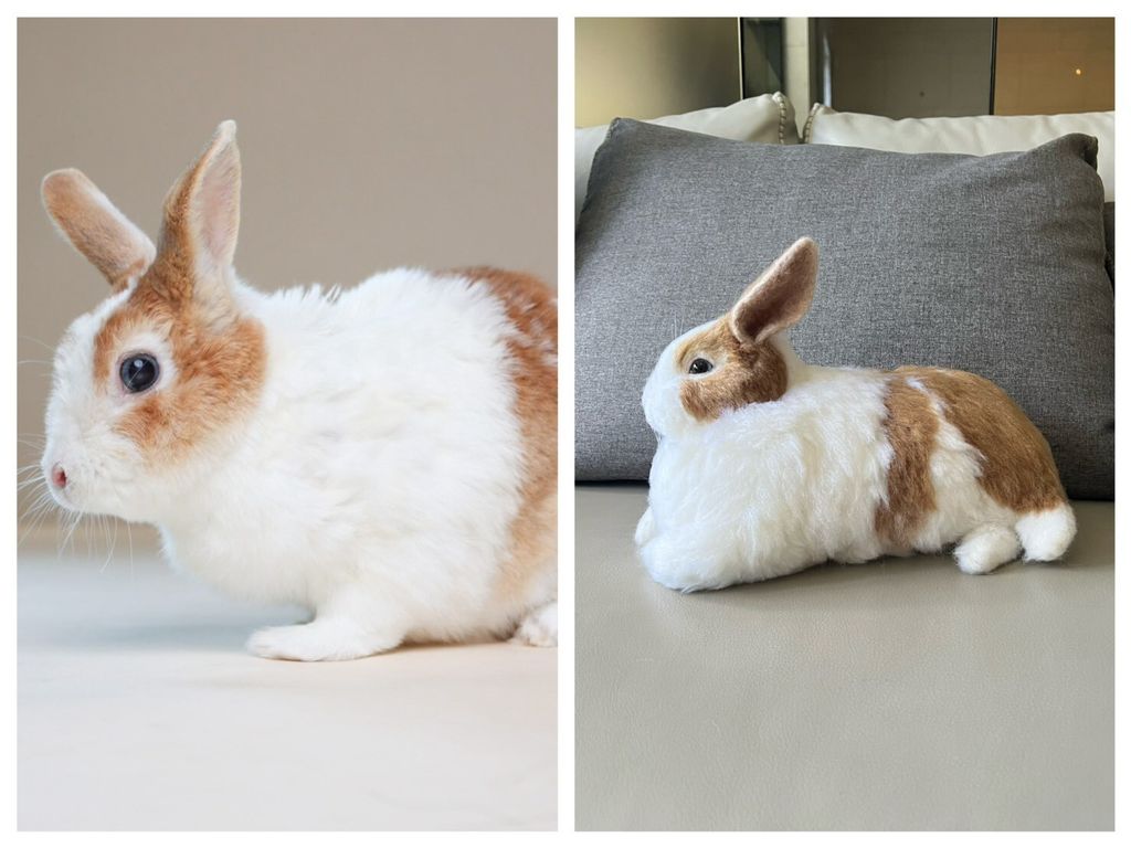 LINE_ALBUM_2025102_251005_75 - 複製