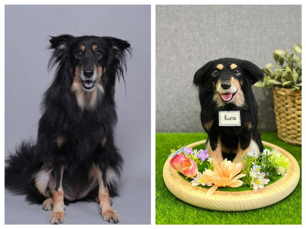 S__203948172_0 - 複製