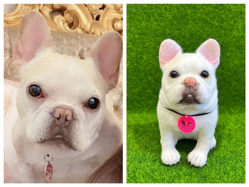 S__207839238_0 - 複製