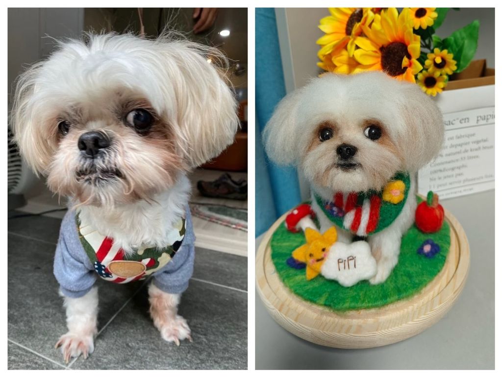 S__195821717 - 複製