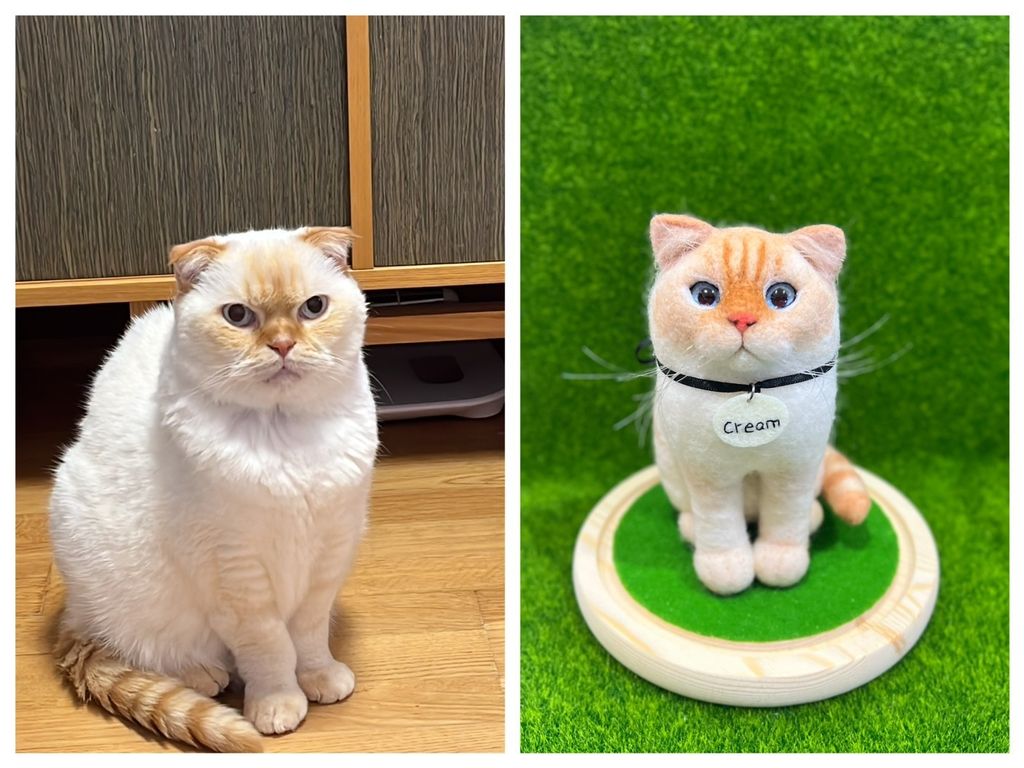 S__207839239_0 - 複製