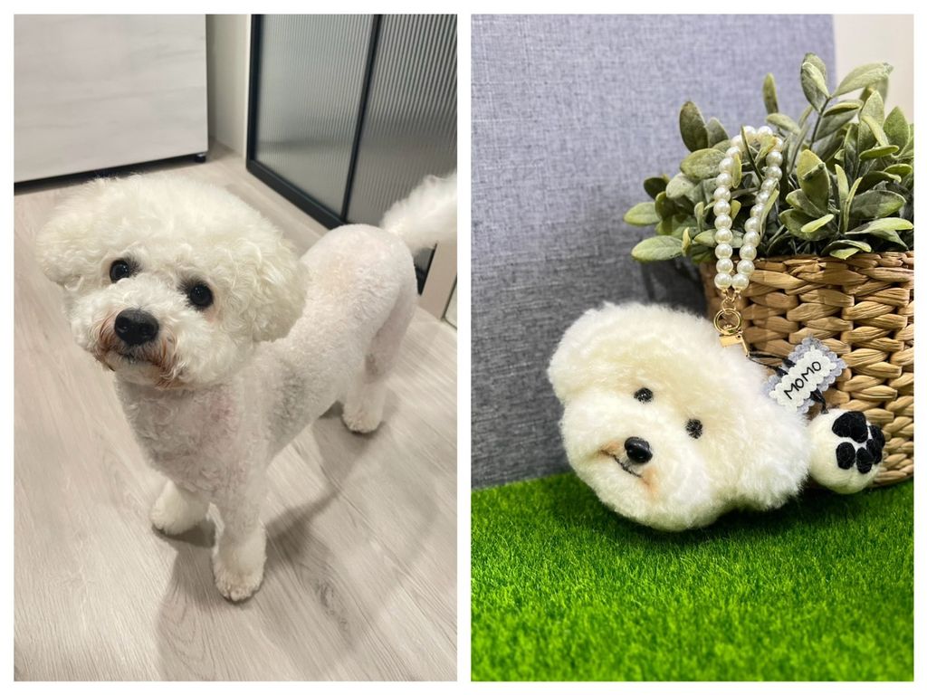 S__203948173_0 - 複製