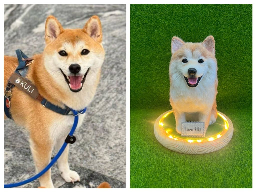 LINE_ALBUM_還沒歸檔_250926_1 - 複製