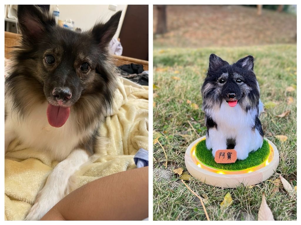 S__202162181 - 複製