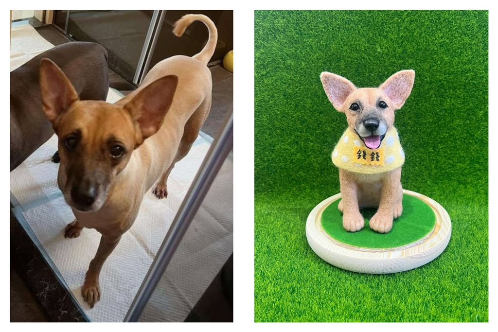 S__210395143 - 複製