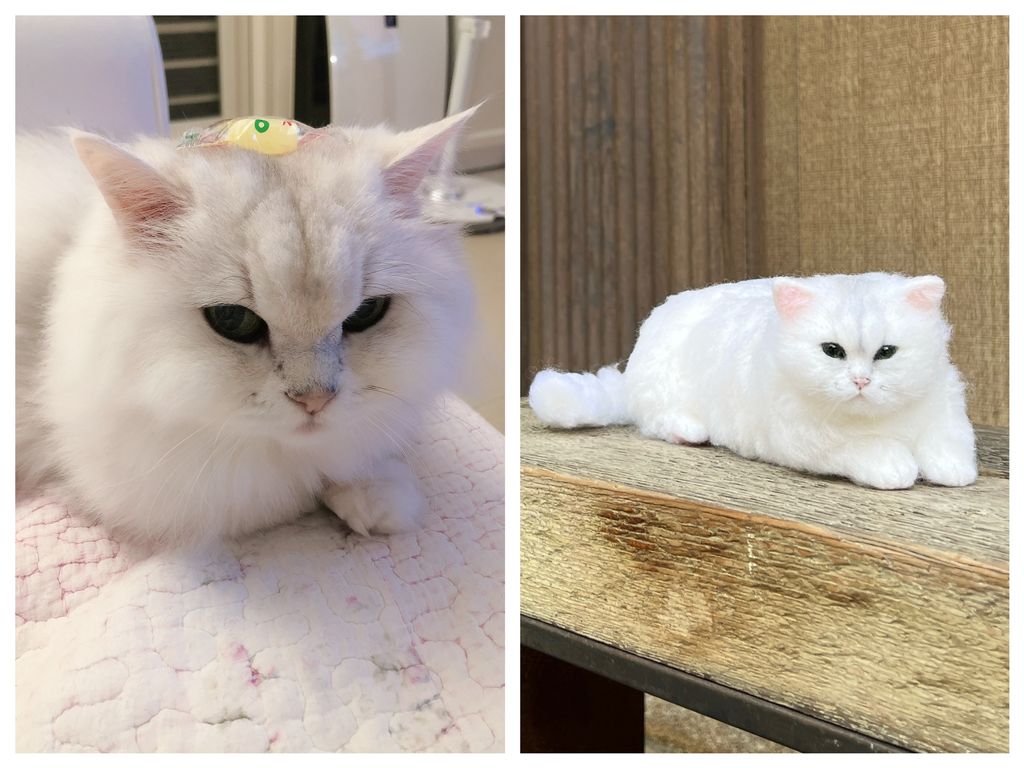 S__196624401 - 複製