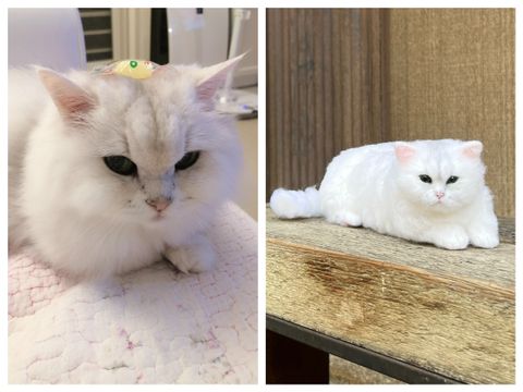 S__196624401 - 複製