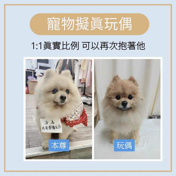 寵物擬真玩偶