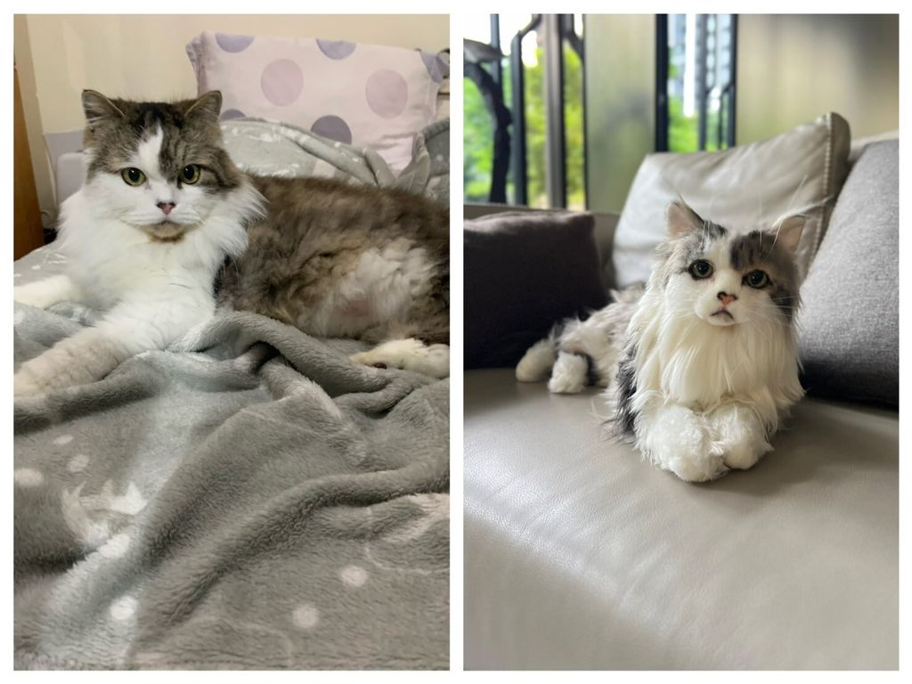 LINE_ALBUM_202565_250619_2