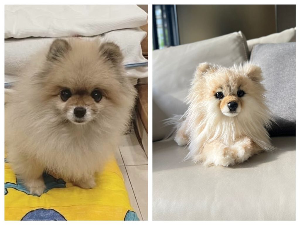 LINE_ALBUM_202565_250619_9