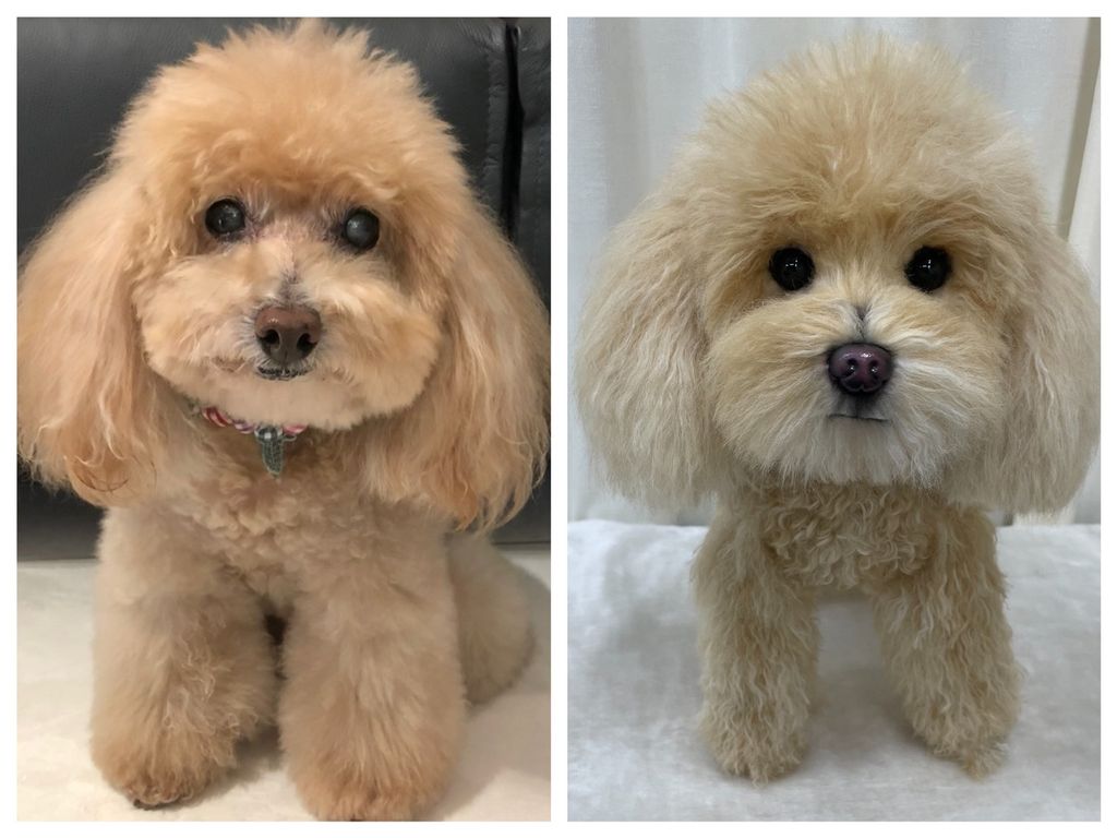 line_oa_chat_240412_111908_group_0