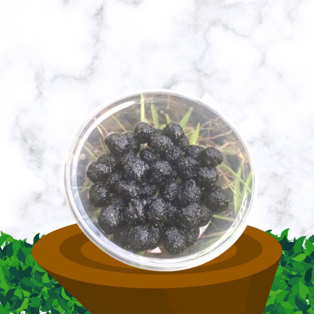 Copy of PROMO NME (1)