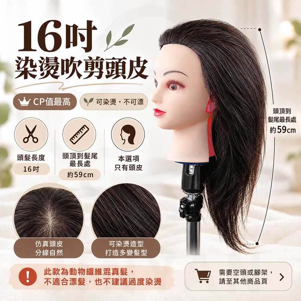 美髮練習人頭皮 蝦16吋染燙吹