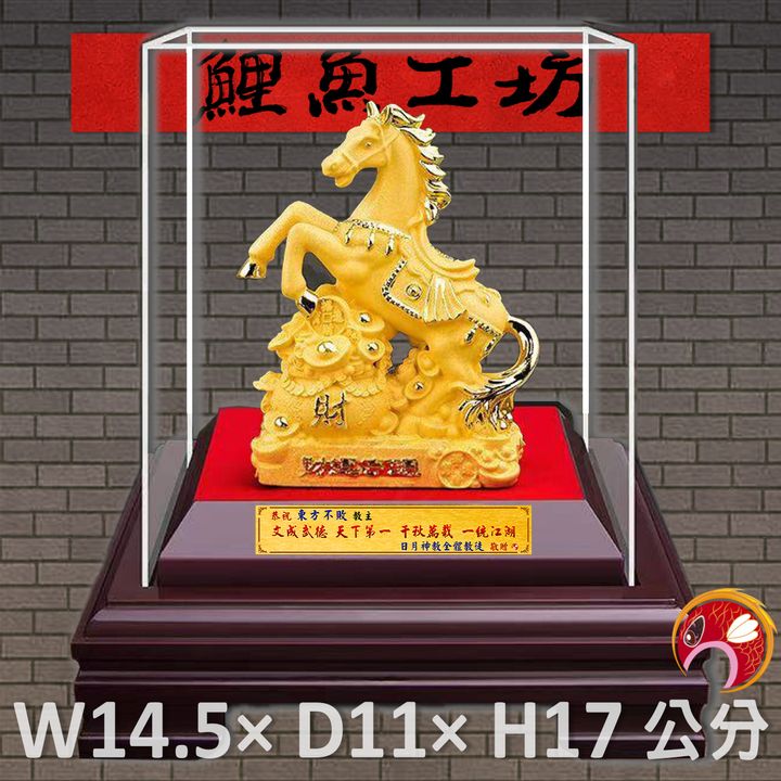 瑬金馬C-鯉魚