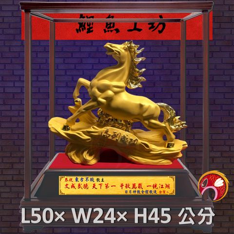 PM-007-鯉魚