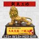 弘揚獅聲(辛巴)