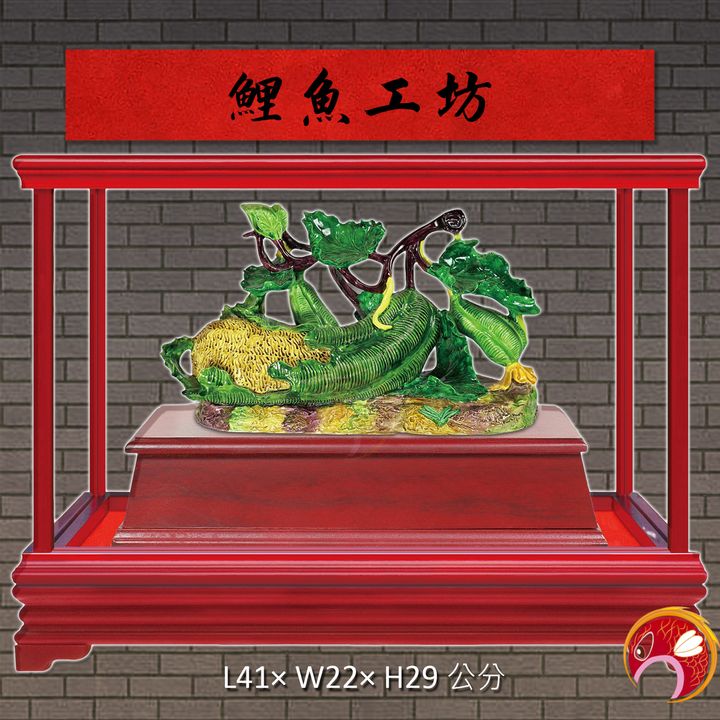 11-AG54-鯉魚