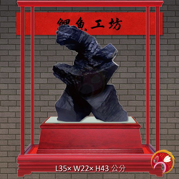 新-太極02-鯉魚